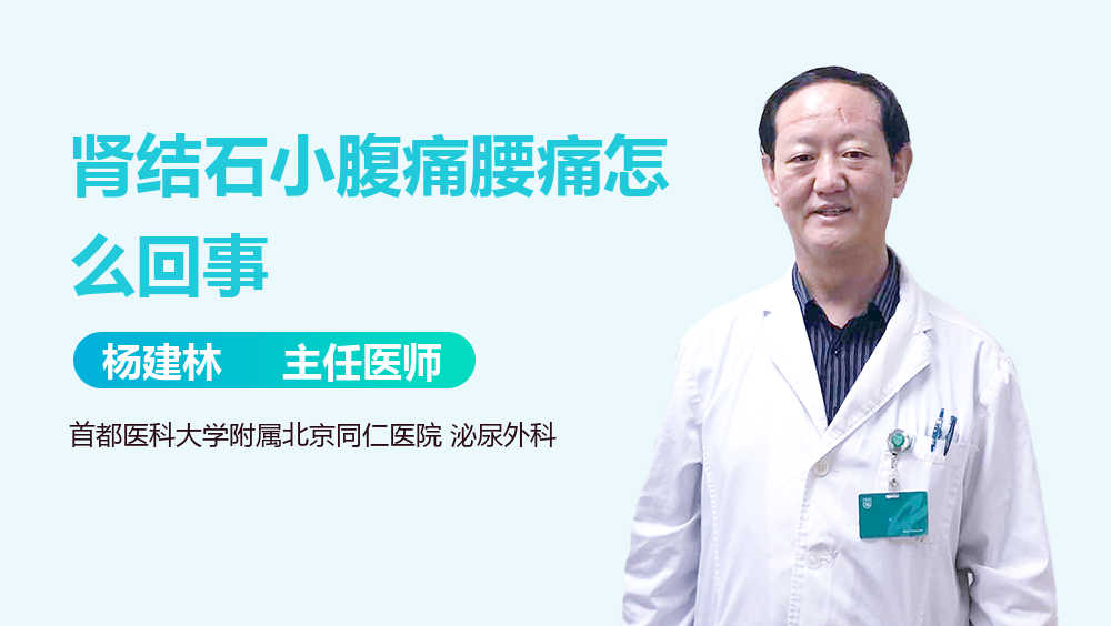 肾结石小腹痛腰痛怎么回事
