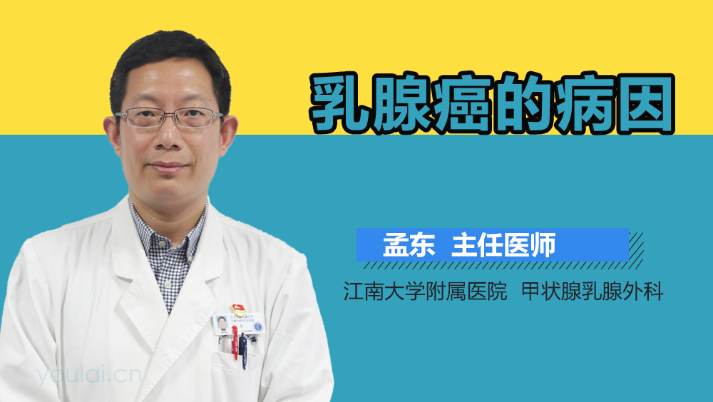乳腺癌的病因