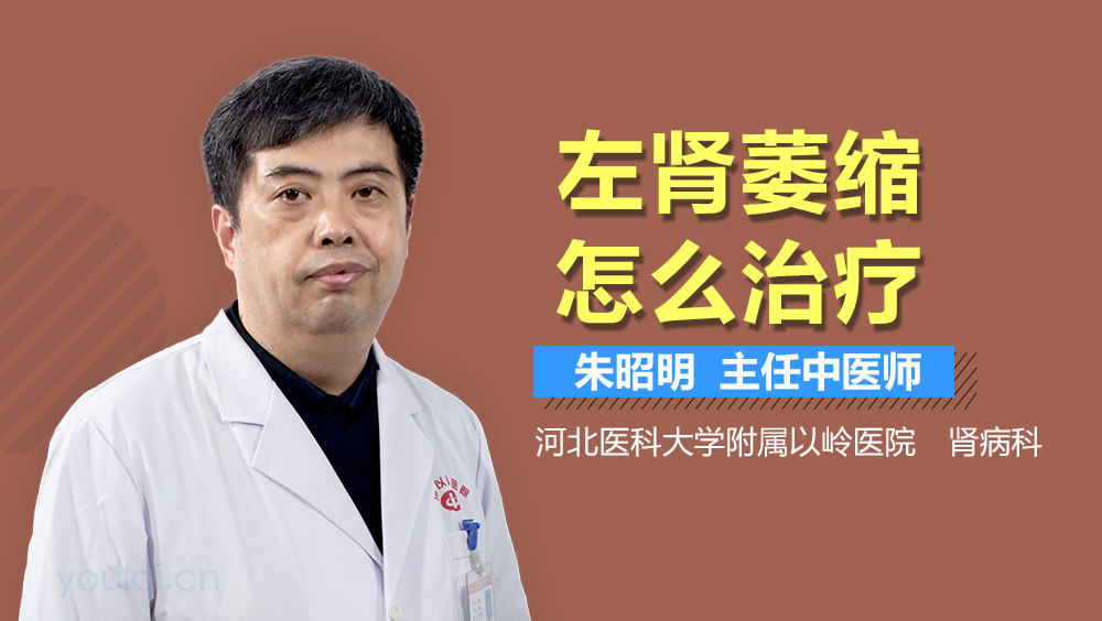 左肾萎缩怎么治疗