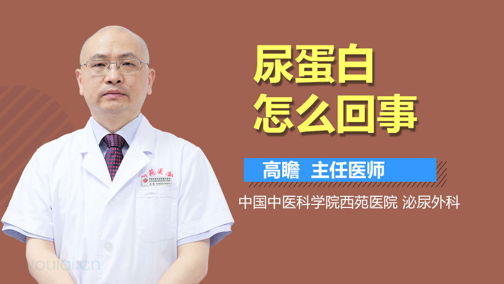 尿蛋白怎么回事