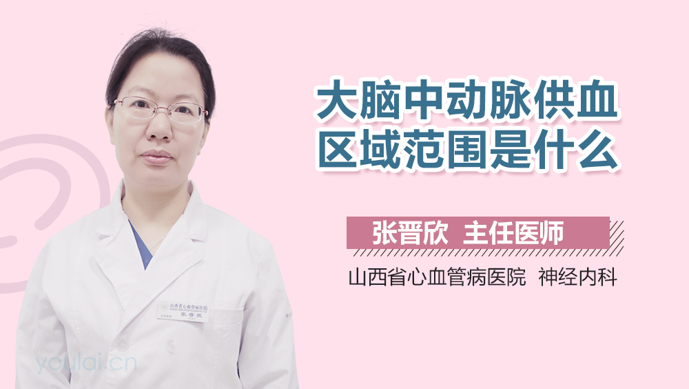 大脑中动脉供血区域范围是什么