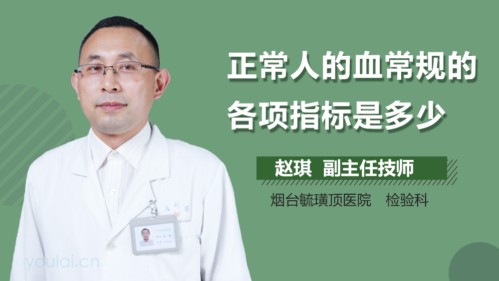 正常人的血常规的各项指标是多少