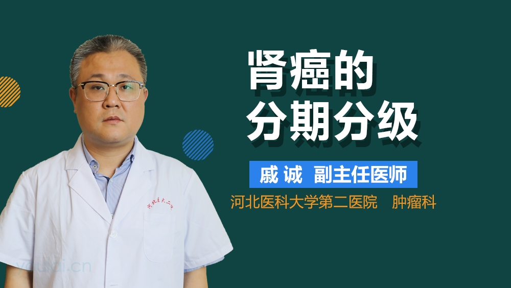 肾癌的分期分级