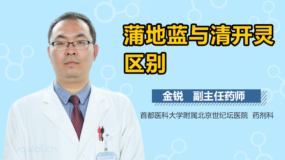 蒲地蓝与清开灵区别