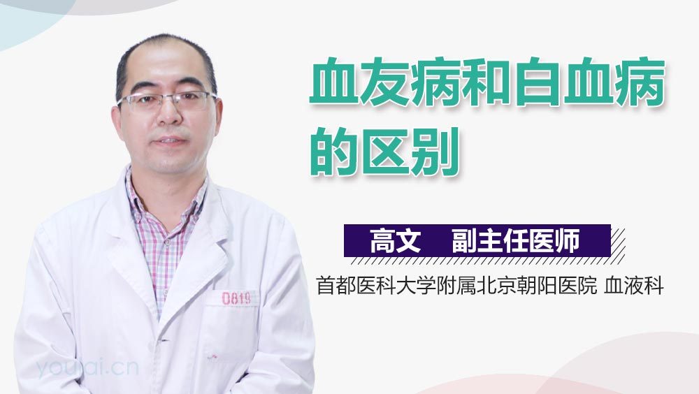 血友病和白血病的区别