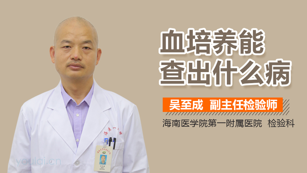 血培养能查出什么病