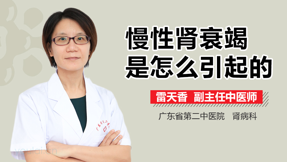 慢性肾衰竭是怎么引起的