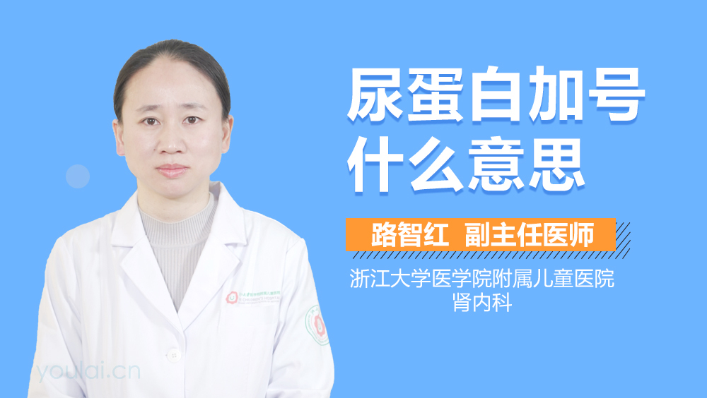 尿蛋白加号什么意思