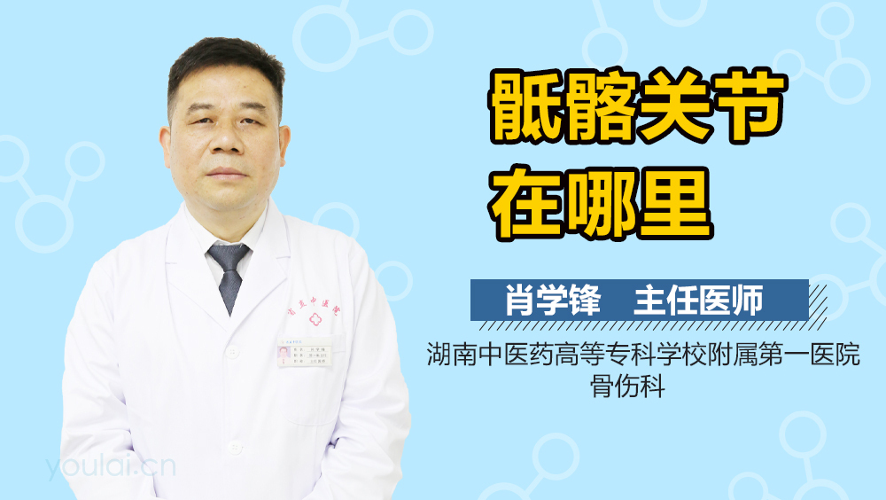 骶髂关节在哪里