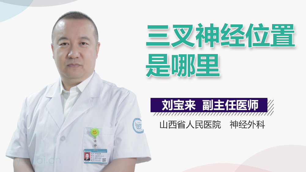 三叉神经位置是哪里