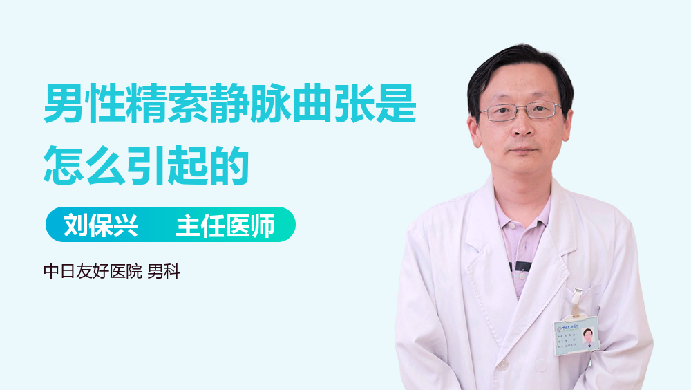 男性精索静脉曲张是怎么引起的