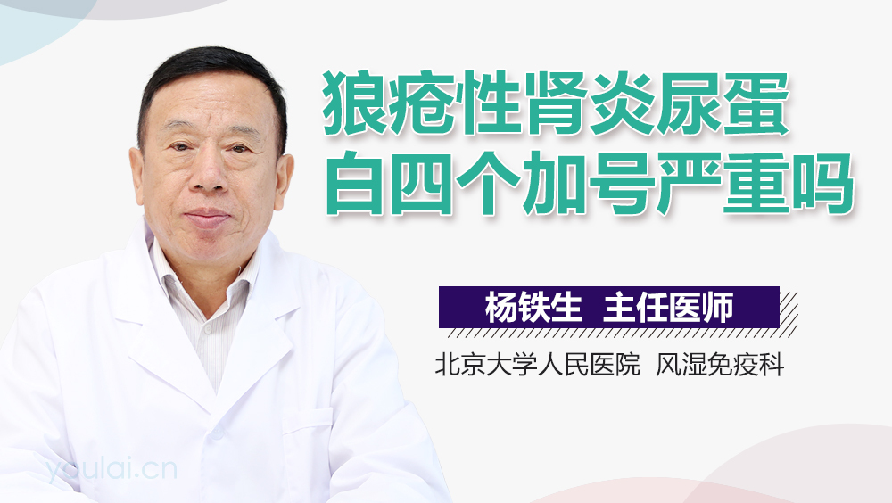 狼疮性肾炎尿蛋白四个加号严重吗