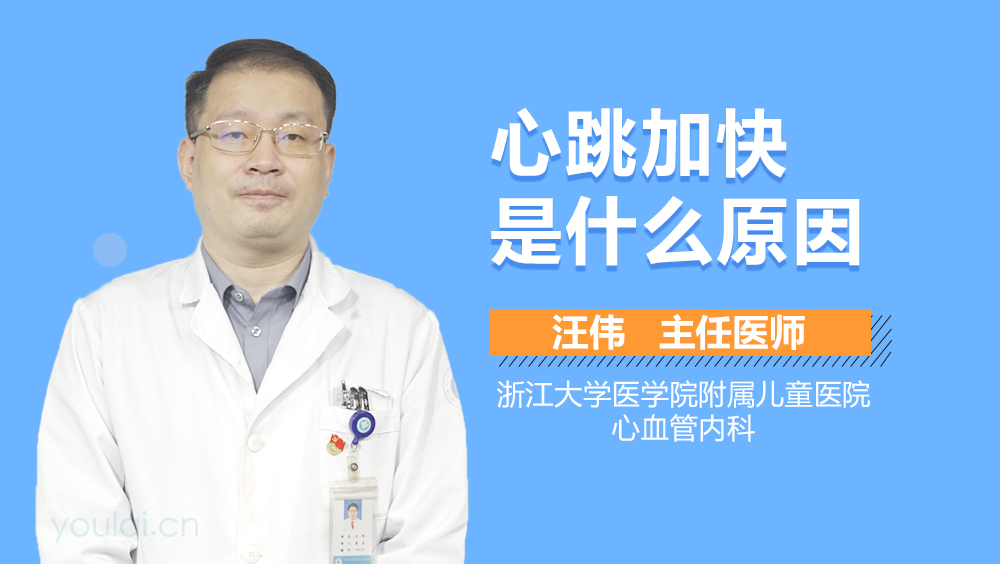 心跳加快是什么原因