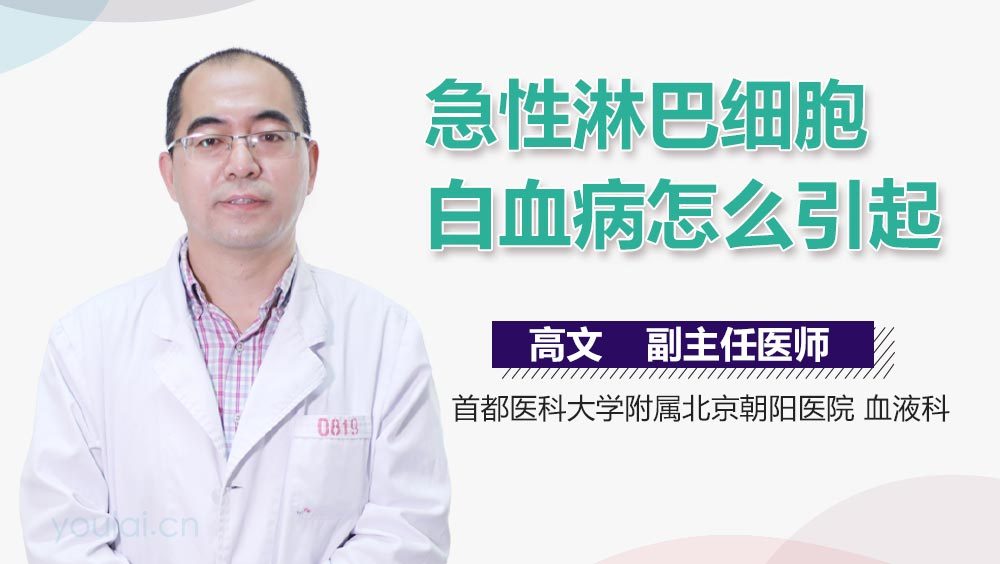 急性淋巴细胞白血病怎么引起