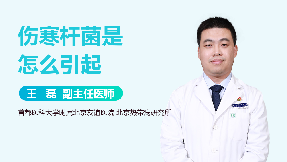 伤寒杆菌是怎么引起