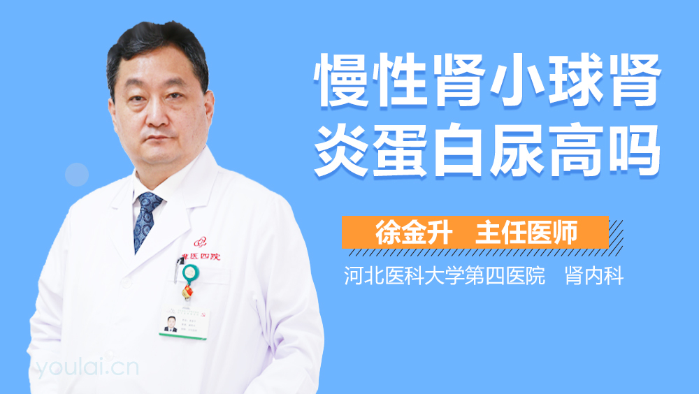 慢性肾小球肾炎蛋白尿高吗