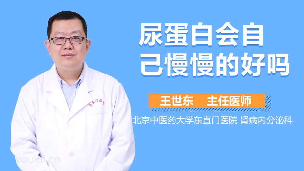 尿蛋白会自己慢慢的好吗