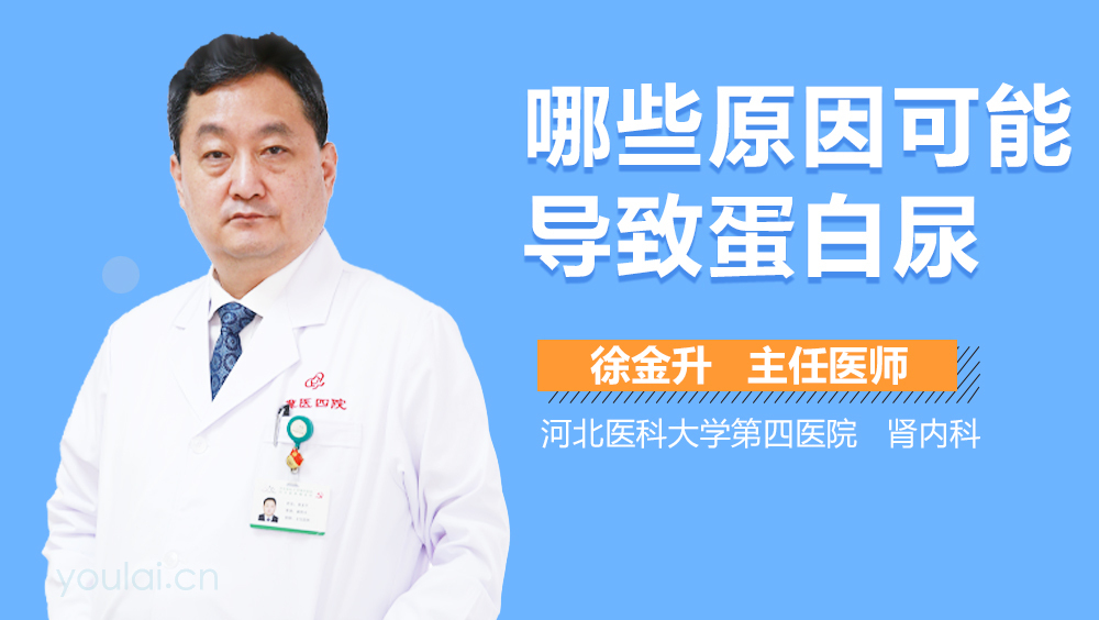 哪些原因可能导致蛋白尿