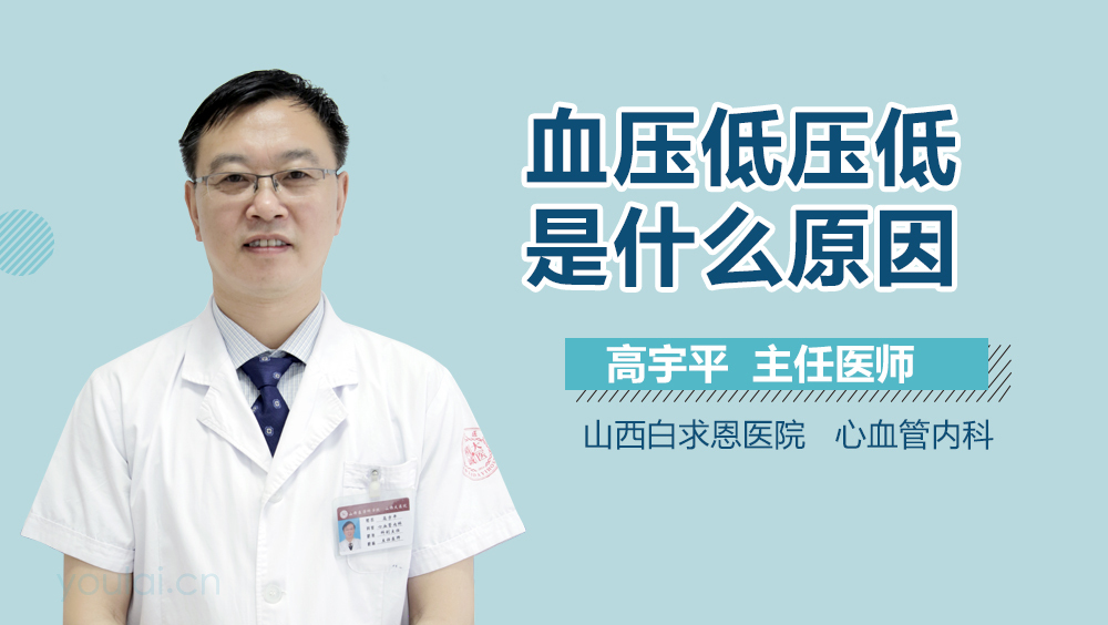 血压低压低是什么原因