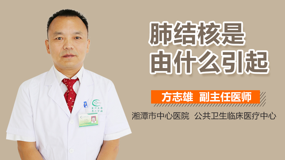 肺结核是由什么引起