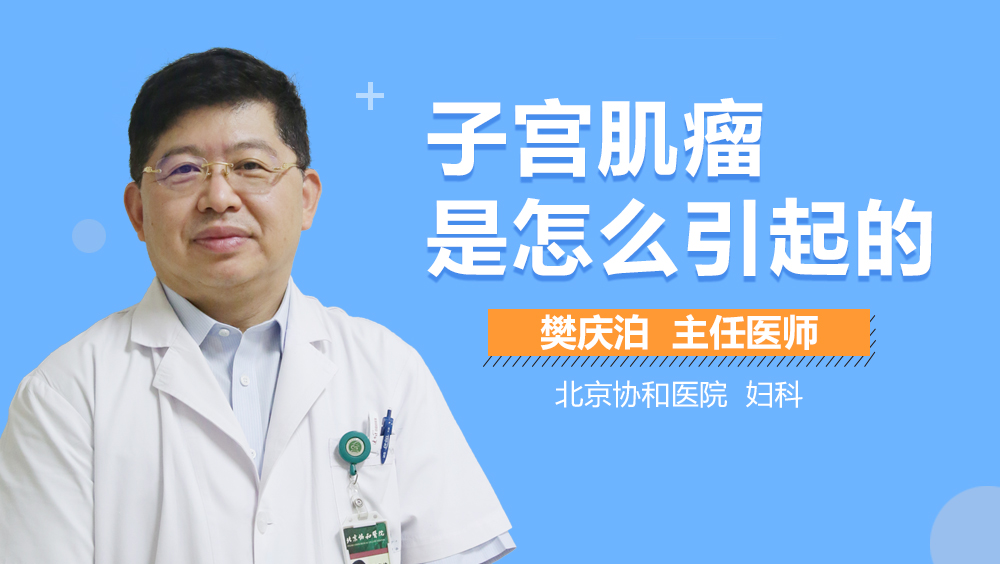 子宫肌瘤是怎么引起的