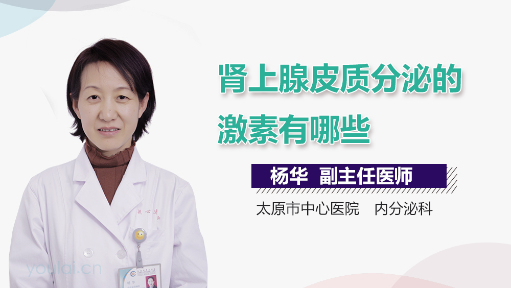 肾上腺皮质分泌的激素有哪些