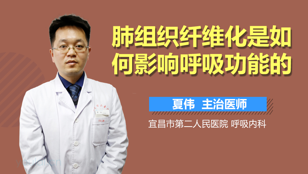 肺组织纤维化是如何影响呼吸功能的