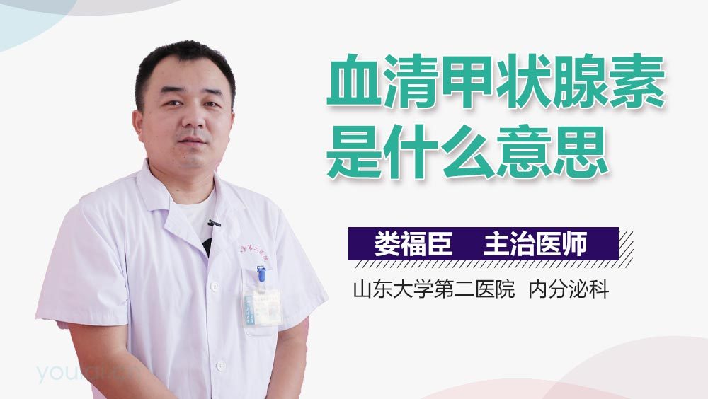 血清甲状腺素是什么意思