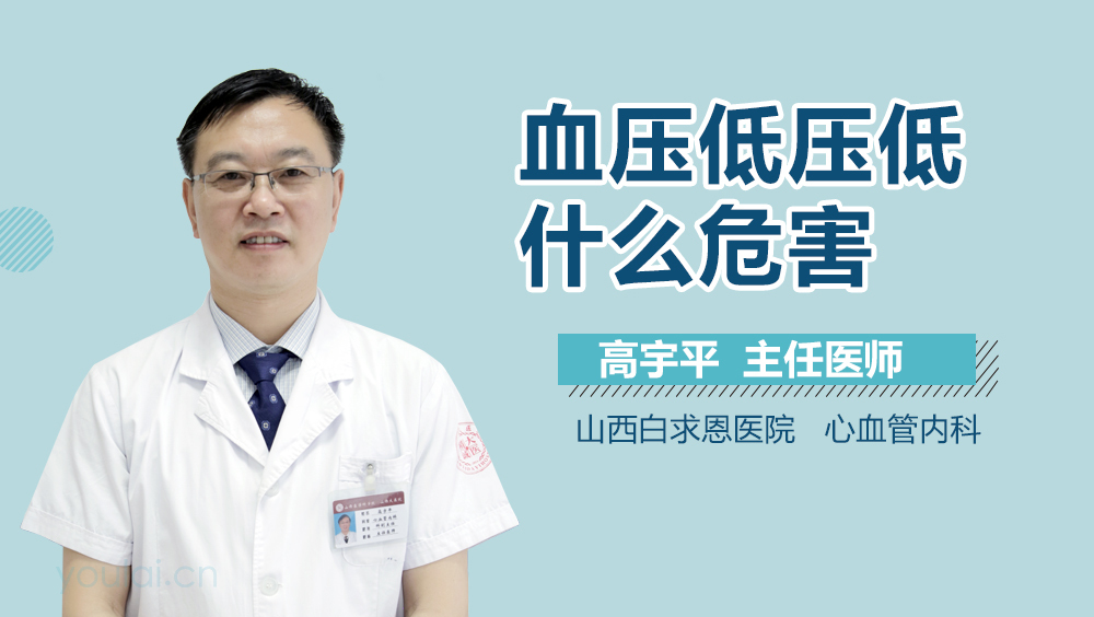 血压低压低什么危害