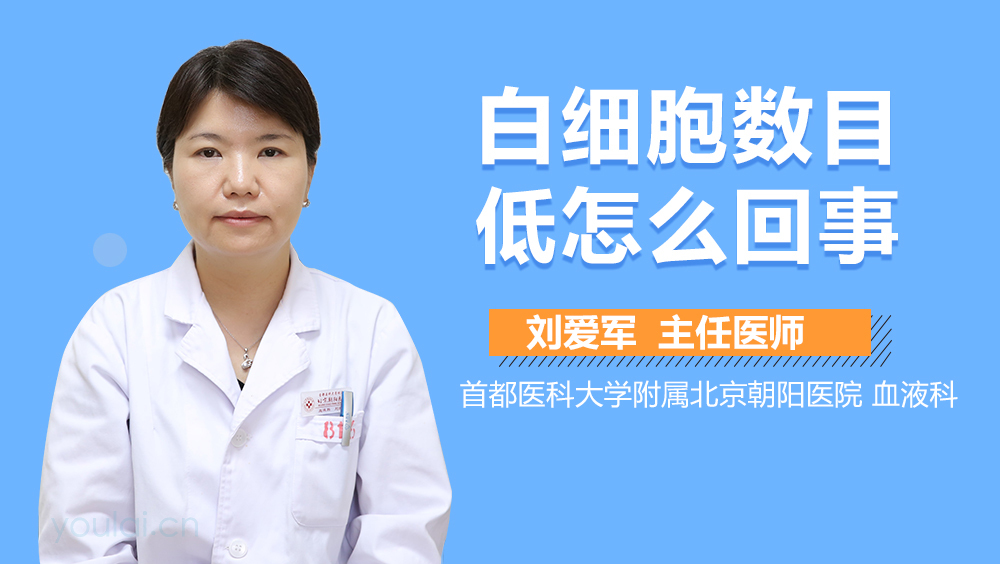 白细胞数目低怎么回事