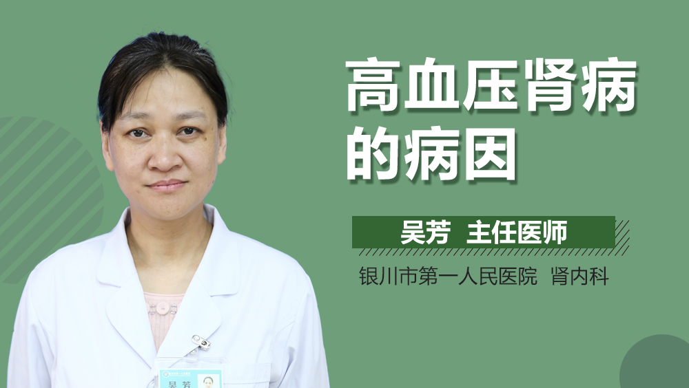 高血压肾病的病因