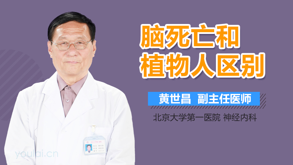 脑死亡和植物人区别