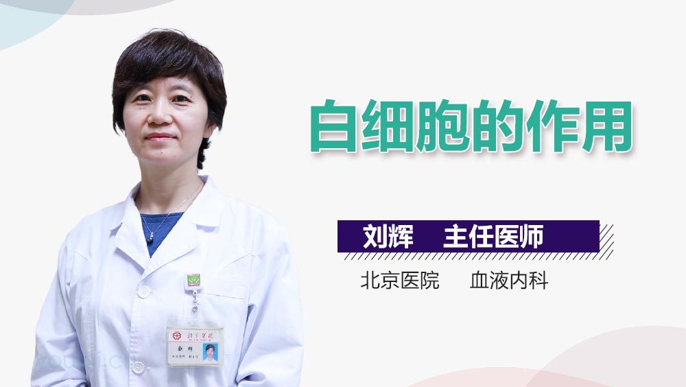 白细胞的作用