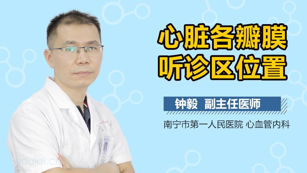 心脏各瓣膜听诊区位置