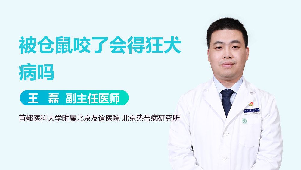 被仓鼠咬了会得狂犬病吗