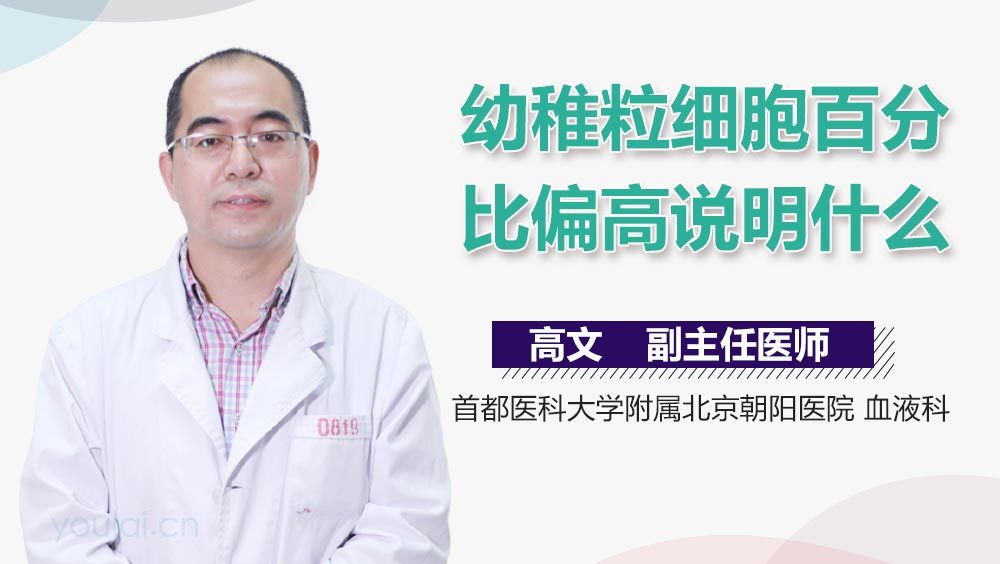幼稚粒细胞百分比偏高说明什么
