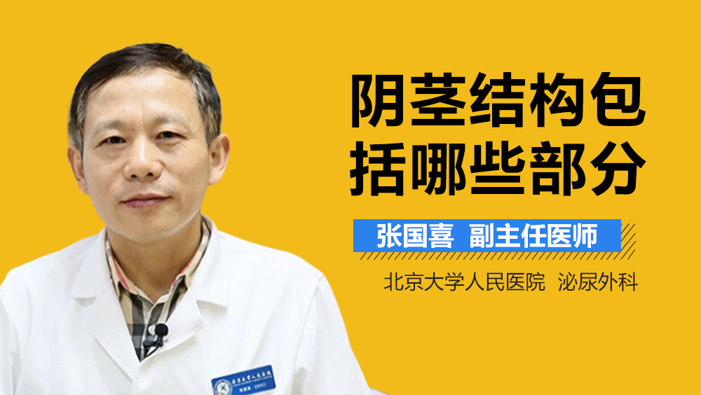 阴茎结构包括哪些部分