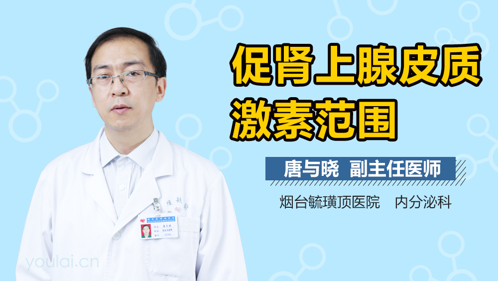 促肾上腺皮质激素范围