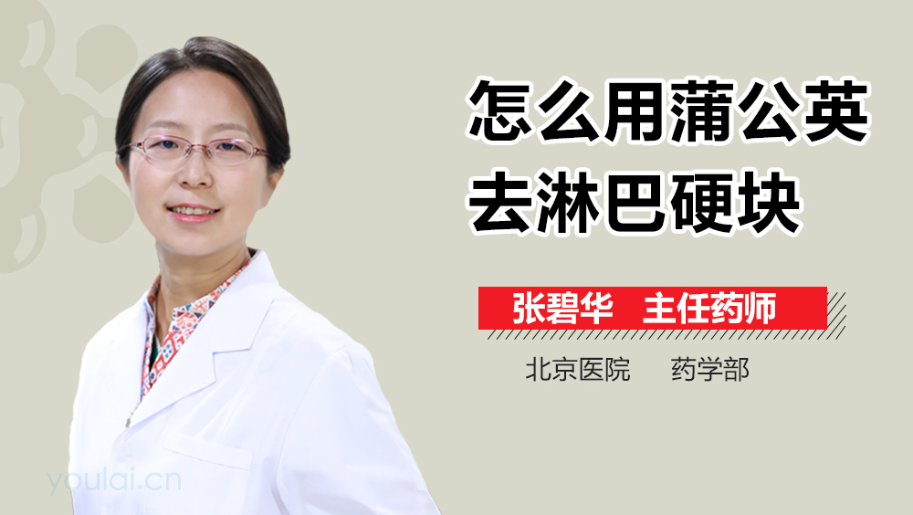 怎么用蒲公英去淋巴硬块