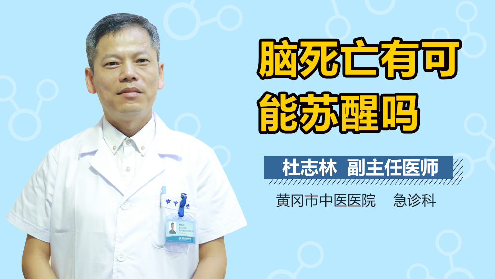 脑死亡有可能苏醒吗