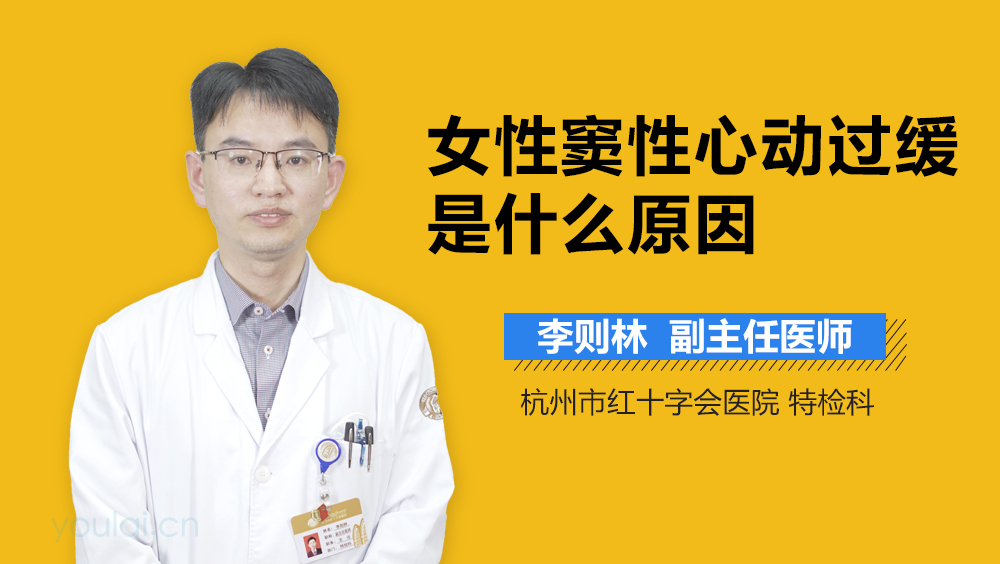 女性窦性心动过缓是什么原因