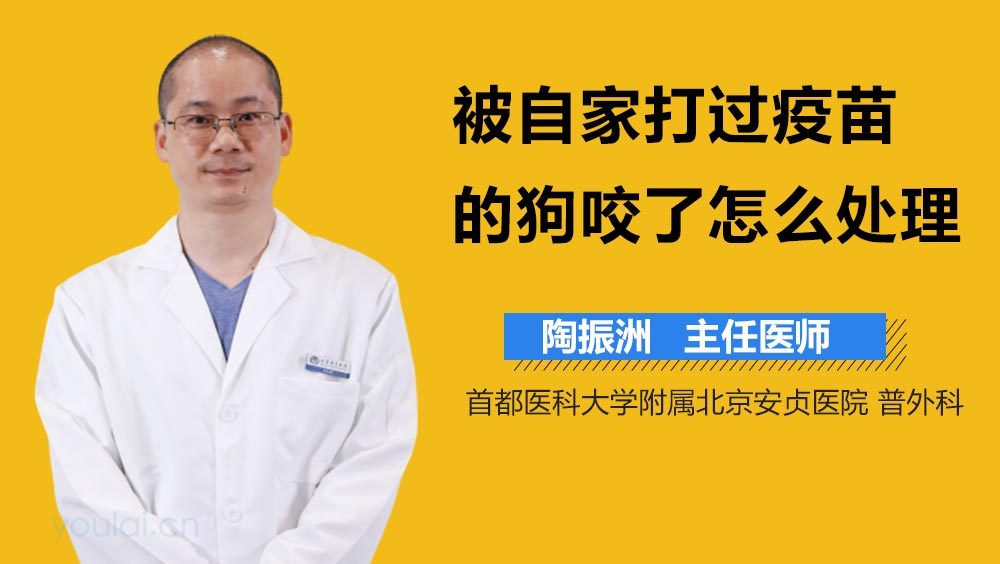 被自家打过疫苗的狗咬了怎么处理