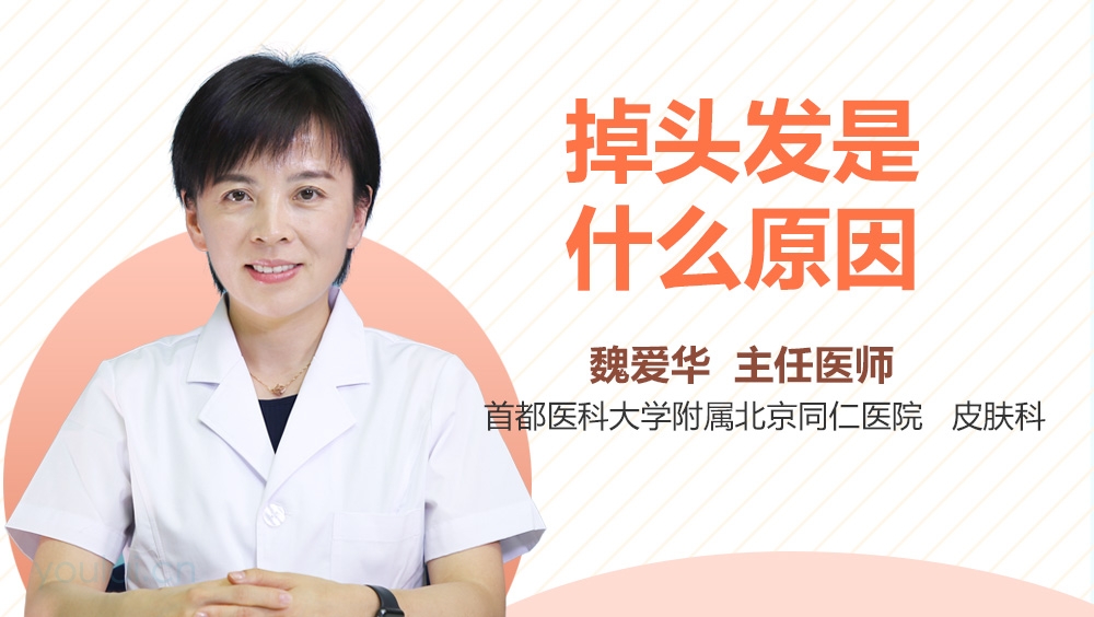 掉头发是什么原因