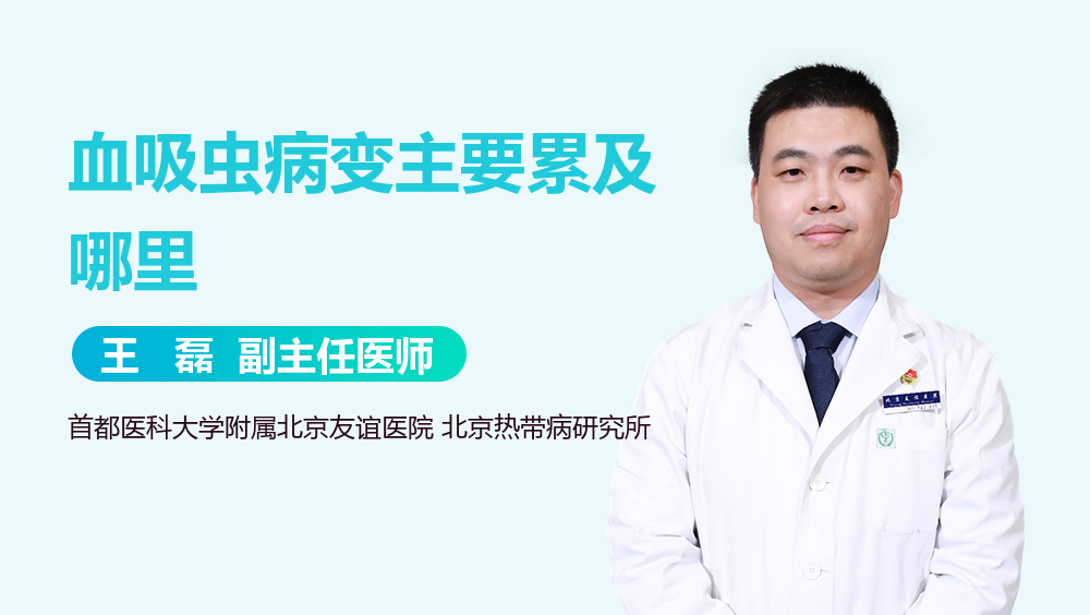 血吸虫病变主要累及哪里