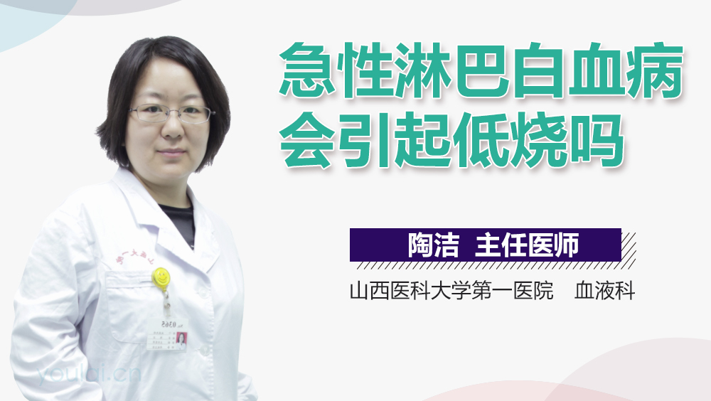 急性淋巴白血病会引起低烧吗