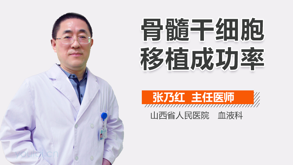 骨髓干细胞移植成功率