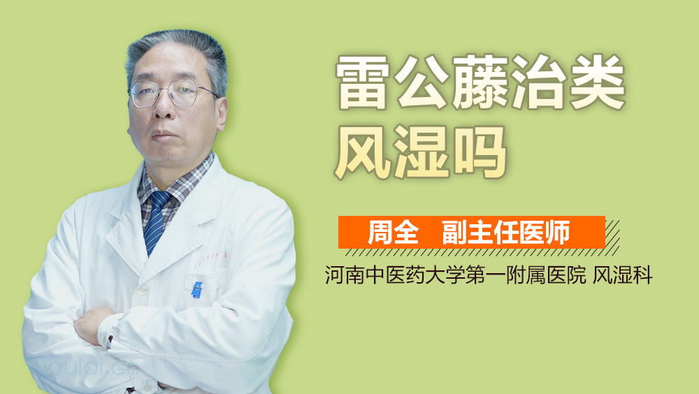 雷公藤治类风湿吗