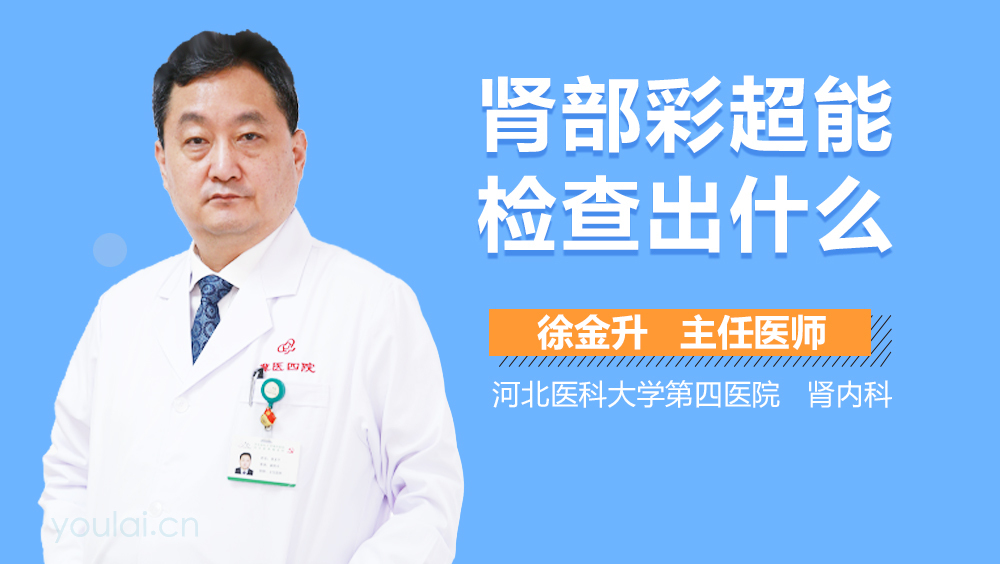 肾部彩超能检查出什么