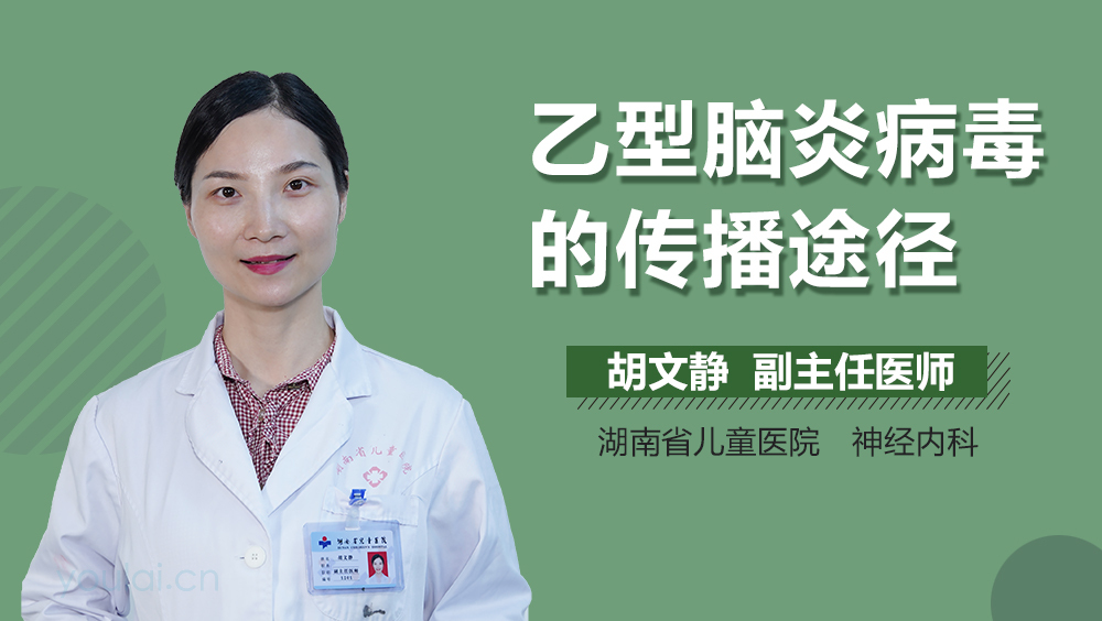 乙型脑炎病毒的传播途径