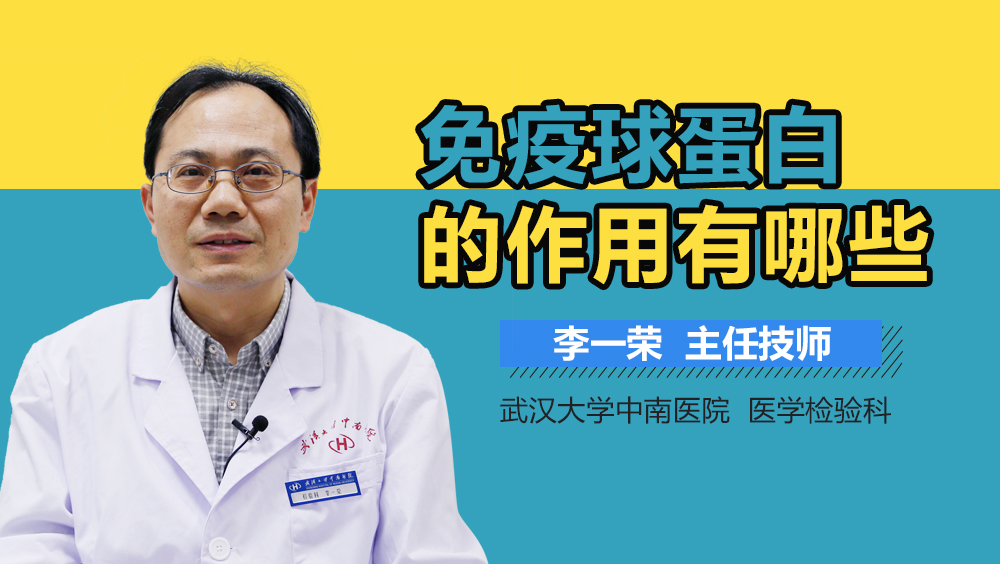 免疫球蛋白的作用有哪些